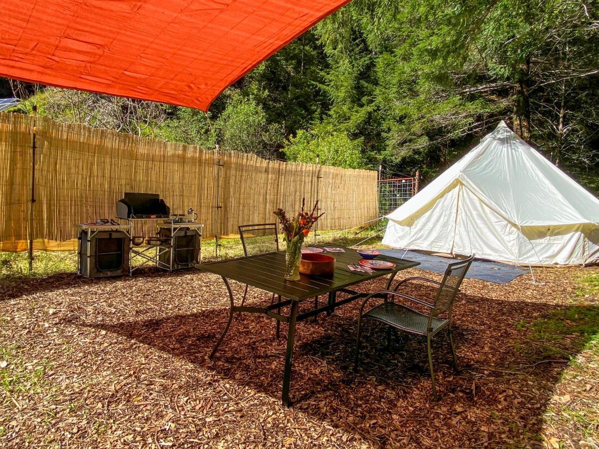 Glamping In The Redwoods With A Hot Tub! Hotel Garberville Exterior foto