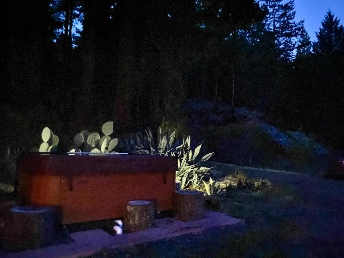 Glamping In The Redwoods With A Hot Tub! Hotel Garberville Exterior foto