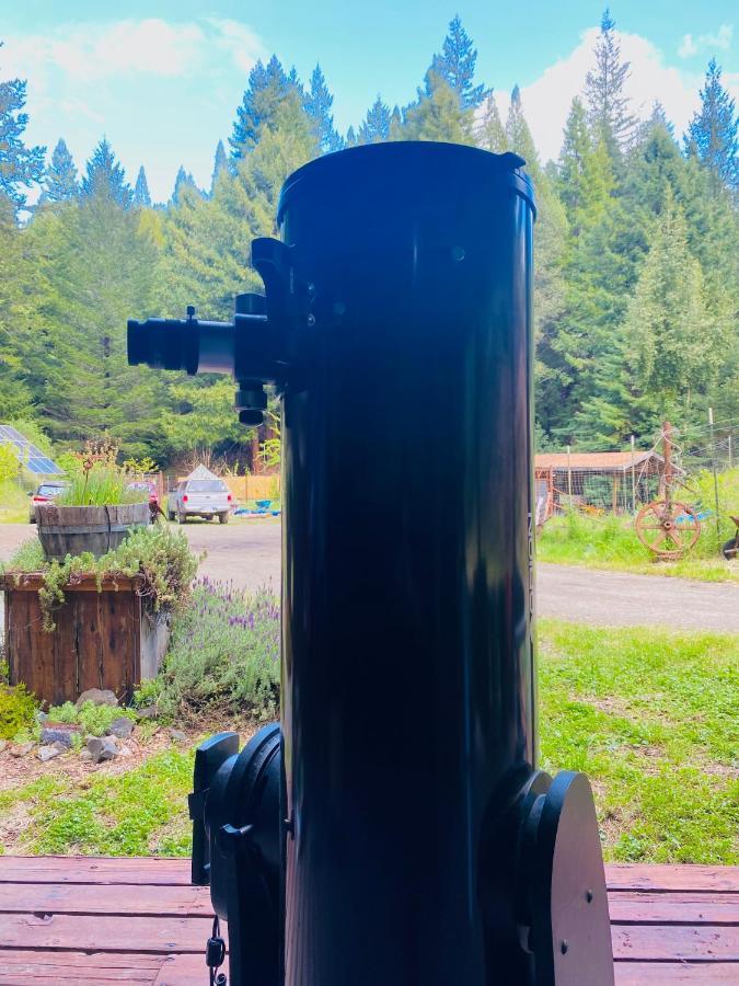 Glamping In The Redwoods With A Hot Tub! Hotel Garberville Exterior foto